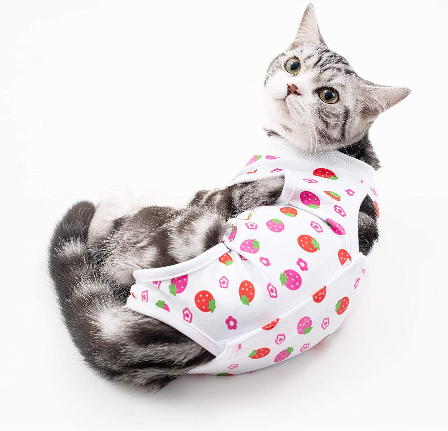 E-Collar Alternative for Cats and Dogs After Surgery Wear Pajama Suit Cat Professional Recovery Suit for Abdominal Wounds or Skin Diseases 