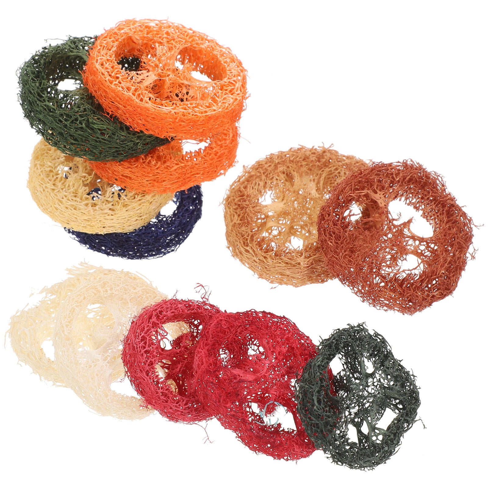 VERDANVERSE 12-Piece Assorted Color Guinea Pig Toys for Digestion Support and Small Pet Enrichment
