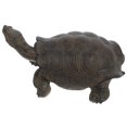 thumbnail image 4 of Fausse Statue Turtle Simulation Figurine Turtle Figurine Animal Simulation Jouet Éducatif Turtle, 4 of 9