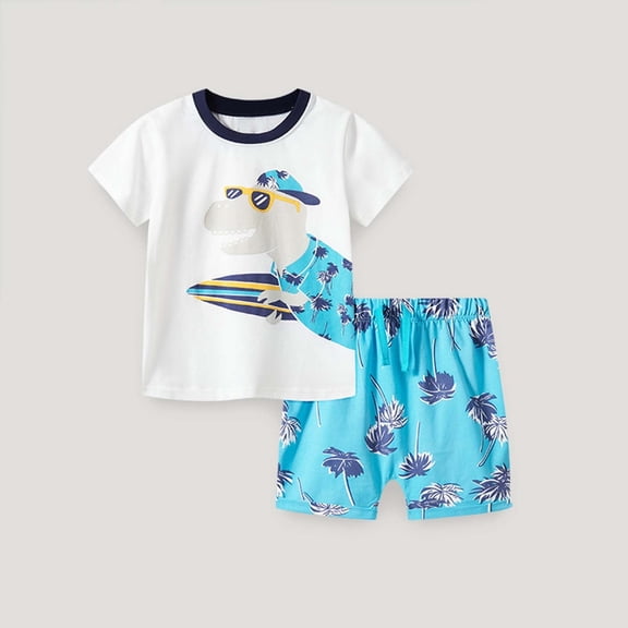 HAYIMI Kids Boys Summer Outfit Sets Casual Crew Neck T Shirt And Shorts Cute Child Cartoon Clothes Sets