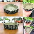 thumbnail image 6 of Visland Reptile Feeder, Durable Resin Natural Food Bowl Food Holder for Turtle Lizards Snakes Spiders Scorpions Centipedes Geckos Frogs, 6 of 7