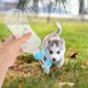 thumbnail image 1 of FESTFENDS 2Ud Botella Colgante Para De Mascotas Pequeñas Con Control De Y Material Premium, 1 of 6