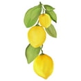 thumbnail image 2 of Kimberly, Allen 26x32 White Modern Wood Framed Museum Art Print Titled - Fresh Lemons 4, 2 of 4