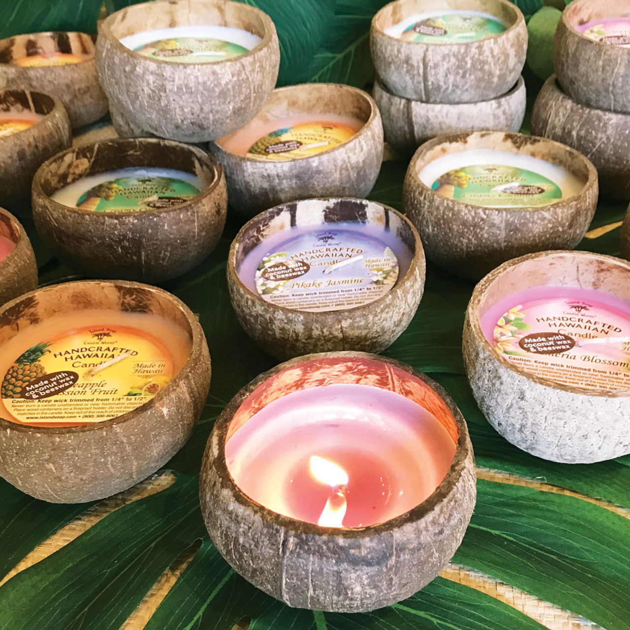 Pikake Jasmine Coconut Bowl Candle