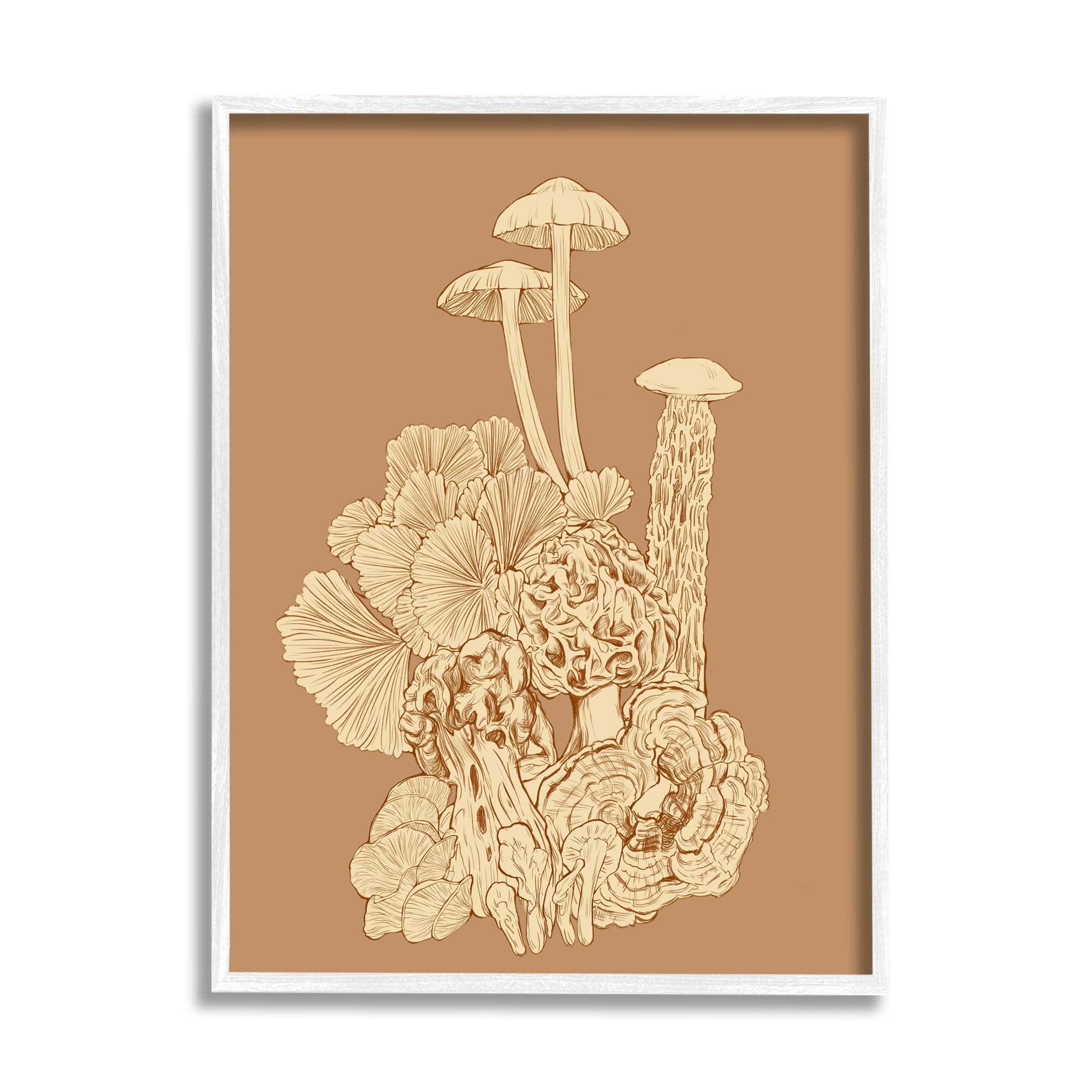 Stupell Industries Detailed Mushrooms Forest Flora Nature Plants Arrangement Graphic Art White Framed Art Print Wall Art, Design by Ziwei Li