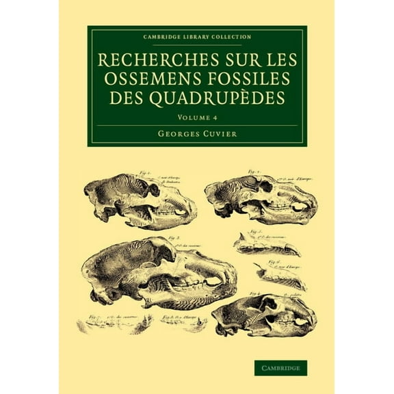 Recherches sur les ossemens fossiles des quadrupèdes - Volume 4, (Paperback)