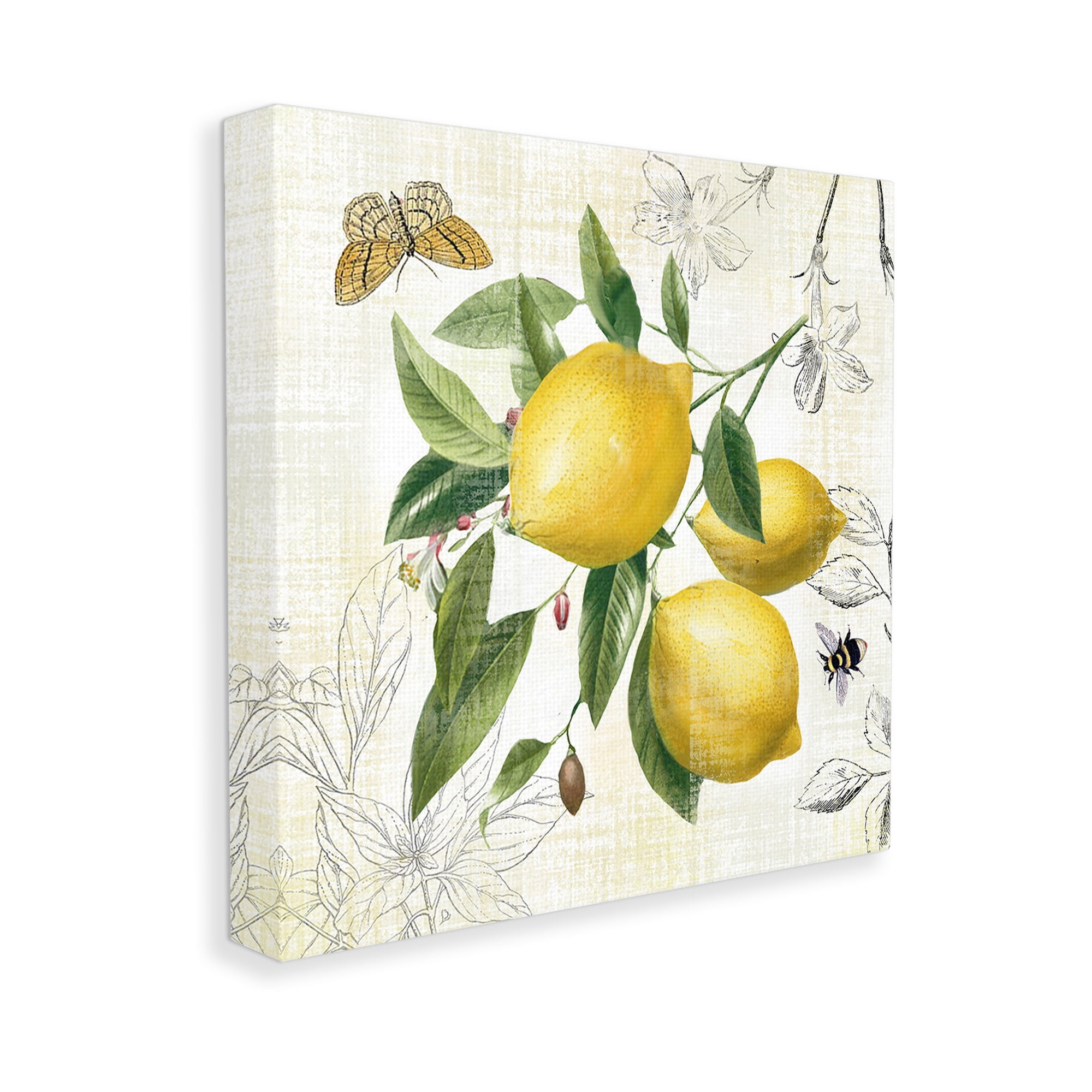 Stupell Industries Vintage Lemon Blossoms Food & Beverage Painting Gallery Wrapped Canvas Art Print Wall Art, 36 x 36