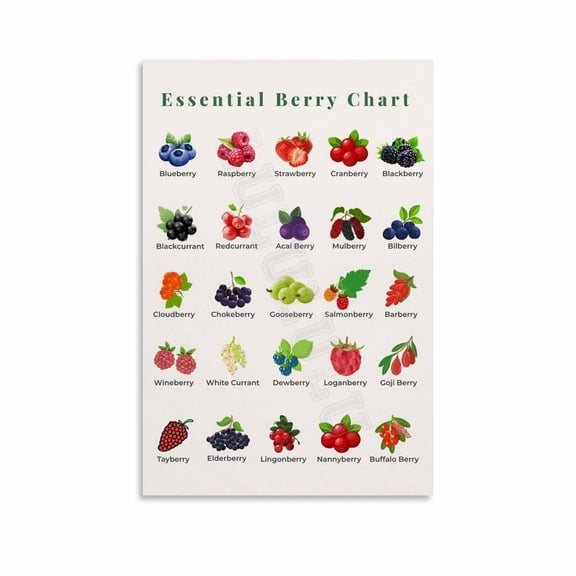 Berries Types Chart Guide Poster Health Kitchen Wall Art (5) Canvas Painting Wall Art Poster for Bedroom Living Room Decor