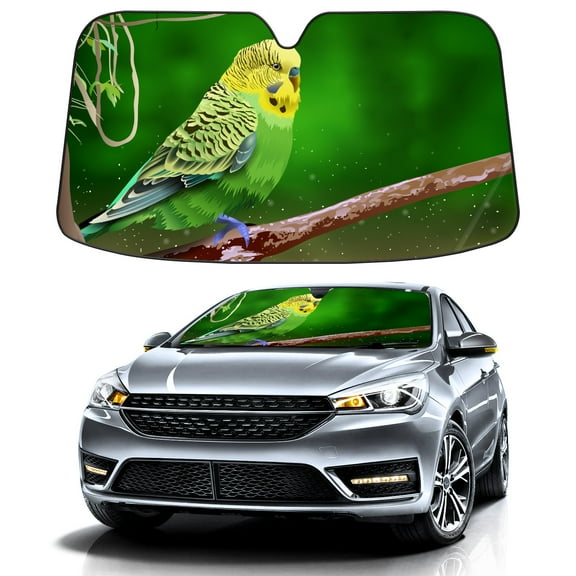 Car Windshield Sun Shade Funny for Car Front Window Painting Bird Foldable Car Sunshade Windshield | Vehicle Car Sun Visor UV Rays &Heat Blocker Covers Auto Window Protector