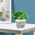 thumbnail image 2 of 2 PCS Hose Basin Control Root Basin Breathable Flowerpot 18X16.5X15.5CM, 2 of 8