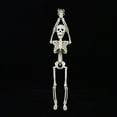 thumbnail image 2 of "Life-Size Poseable Halloween Skeleton with Movable Joints - Realistic Haunted House Graveyard Decor for Indoor Outdoor Scary Party Decoration" (148 characters), 2 of 4