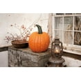thumbnail image 2 of Hoover, Irvin 14x11 White Modern Wood Framed Museum Art Print Titled - Fall Lantern, 2 of 4