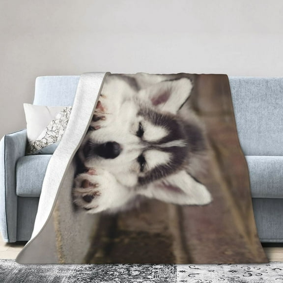 Wijzvio Husky Dog Throw Blanket Soft Fuzzy Fleece Blanket For Couch Bed Living Room Decoration 40"X30"