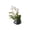 B-White, variant on Artificial Phalaenopsis Orchid Potted Plant, Silk Flower Bonsai For Living Room Decor, No Water Faux Green Tabletop Accent For Home Office