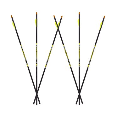 Carbon Express D-Stroyer Arrows - .400 Fletched 6-Pack
