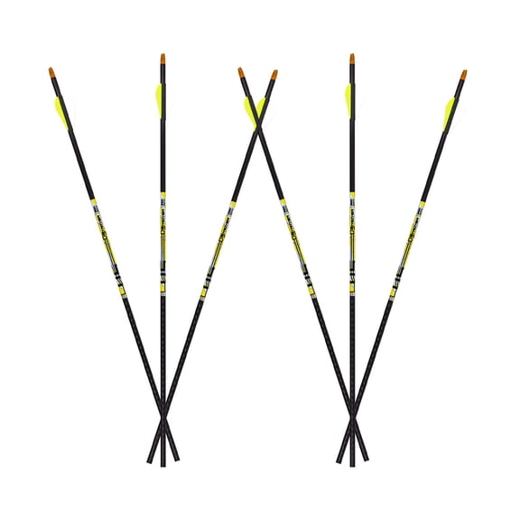 Carbon Express D-Stroyer Arrows - .400 Fletched 6-Pack