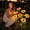 Yellow, variant on Solar Flower Lights 74cm Outdoor LED Stake Lights 4 Styles, Lycoris Sunflower Lavender Solar Garden Lights with IP65 Waterproof, Solar Garden Decor Lights for Patio Yard Pathway with Ground Stake