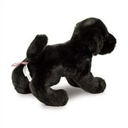 Douglas Brewster Black Lab