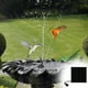 thumbnail image 4 of Bomba de Fuente Solar Sincero para Decoración de Piscinas de Jardín, 4 of 10