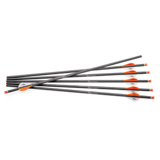 Walmart arrows sale