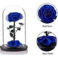 thumbnail image 2 of Preserved Real Rose Eternal Rose In Glass Dome Gift For Her Thanksgiving Valentine's Day Birthday Mother's Day Blue, 2 of 4