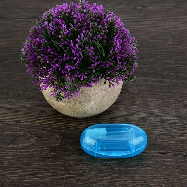 Silicone Baby Toothbrush, Be Of Criticality Appealing High Practicality Neoteric Miraculous Attractive Embellish Ordinary Ample Abundant For Home