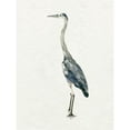 thumbnail image 3 of Caroline, Emma 19x24 Black Modern Framed Museum Art Print Titled - Saltwater Herons II, 3 of 5