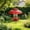 Red, variant on Bird Feeder Protective Cover, Guard, Rainproof Bird Feeding Shelter, Baffle Rain Protective Dome(Clear B)