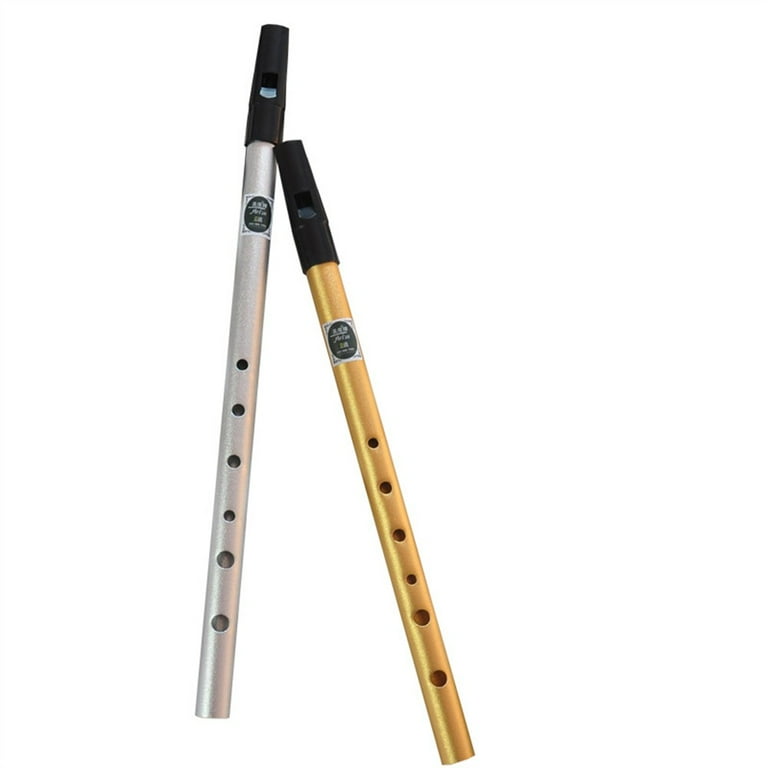 Mduoduo Irish Whistle Flute C D key Ireland Tin Penny Whistle 6