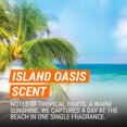 thumbnail image 4 of Armor All Fresh FX Island Oasis Vent Clip Car Air Freshener - 2 Count, 4 of 6