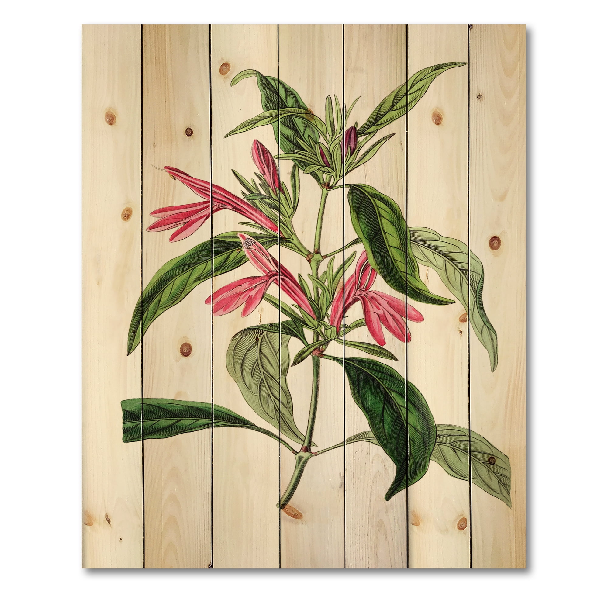 Designart 'Ancient American Flora VII' Traditional Print on Natural Pine Wood