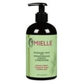 thumbnail image 1 of Rosemary Mint Leave in Conditioner, 1 of 1