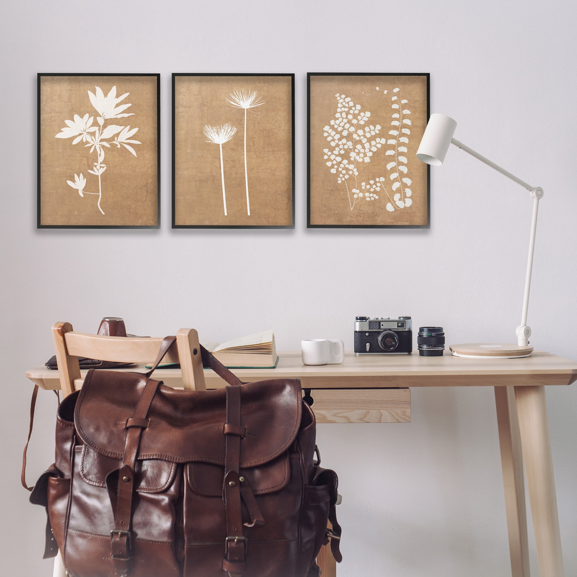 Stupell Industries Nature Botanical Silhouettes Botanical & Floral Painting Black Framed Art Print Wall Art, 16 x 20, Set of 3