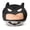 Grey Detective, variant on Warner Bros Batman Cloud Pillow, Grey Detective, 11 inch Round