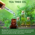 thumbnail image 4 of Gel limpiador de párpados NOVEHA Tea Tree para blefaritis, 50 ml, 4 of 6
