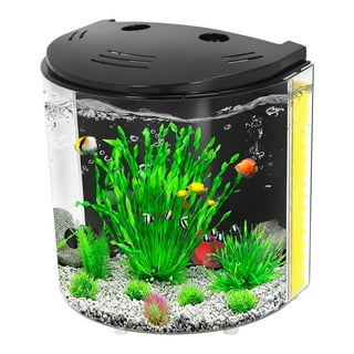 Betta Fish Tank, 2 Gallon Glass Aquarium, 3 in 1 Fish Tank with Filter and  Light, Desktop Small Fish Tank for Betta Fish, Shrimp, Goldfish (Black)