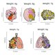 thumbnail image 4 of Broche de aleación con forma de cerebro rosa, diseño exquisito, serie de órganos en forma de corazón, insignia de pintura, 4 of 6