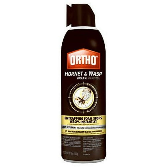 Ortho 0192610 071549019266 Hornet and Wasp Killer, 16 oz, Brown/A