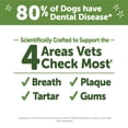 thumbnail image 5 of Dental Treat, Toothbrush Star Value Pouch -M-12 Pc, 5 of 5