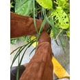 thumbnail image 4 of Guantes de poda de rosas para hombres y mujeres, guantes de jardinería largos a prueba de espinas, guantelete de piel de cerdo transpirable, el mejor jardín, 4 of 5