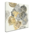 thumbnail image 2 of Trademark Fine Art 'Gold Edged Neutral II' Canvas Art by Chris Paschke, 2 of 3