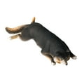 thumbnail image 2 of Escultura de perro realista CUTICAT figura de escultura juguete en miniatura Negro, 2 of 8