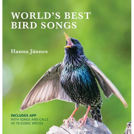 World's Best Bird Songs (Best Birding Locations In The World)