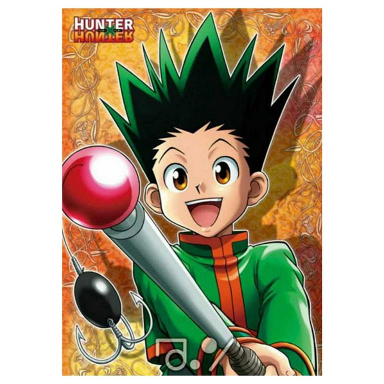 Taicanon Anime Hunter x Hunter Poster, Gon·freecss, Killua Zoldyck