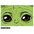 thumbnail image 1 of STAR WARS Mandalorian These Eyes Girls Short Sleeve Tee Shirt, White, Large, 1 of 5