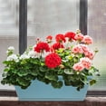 thumbnail image 4 of AURARMLET 2 Sets Flower Planting Holder Rectangular Window Planters Resin with Sturdy Structure for Living Room, 4 of 8