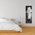 thumbnail image 2 of Monochrome horse - 16"x48" canvas - Print on demand, 2 of 5