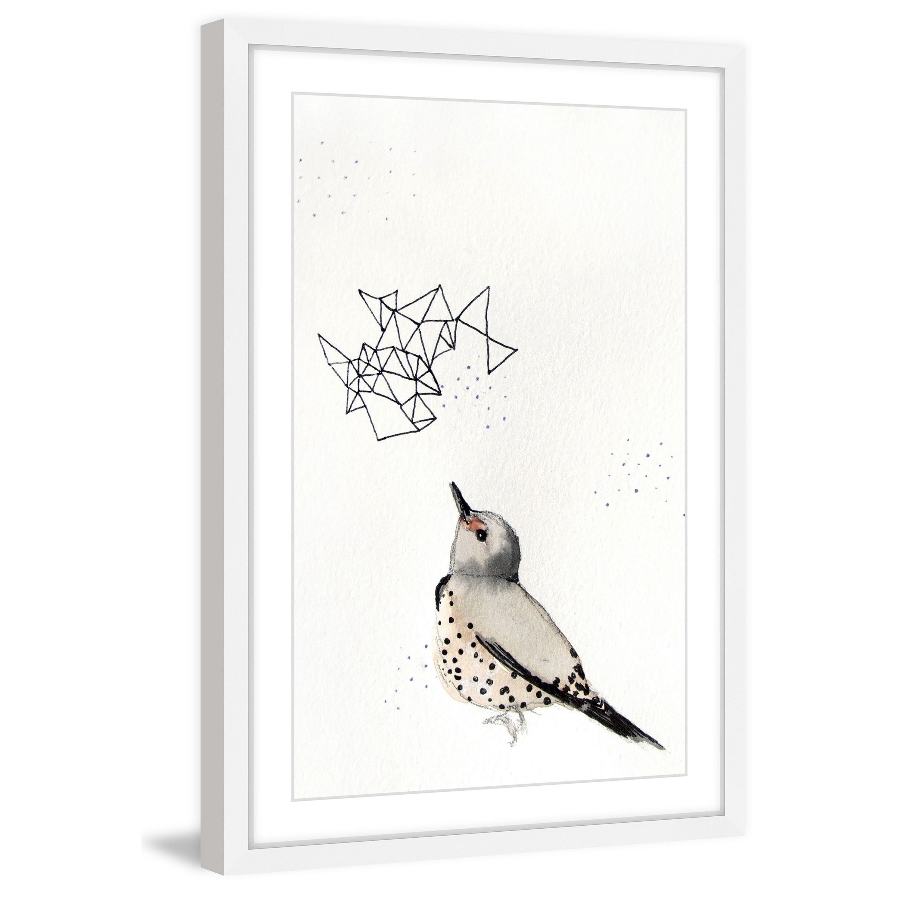 "Northern Flicker" Framed Painting Print