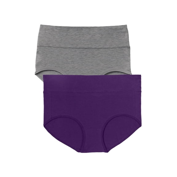 Comfort Choice Plus Size Cotton Spandex Comfort Waist Brief 2-Pack