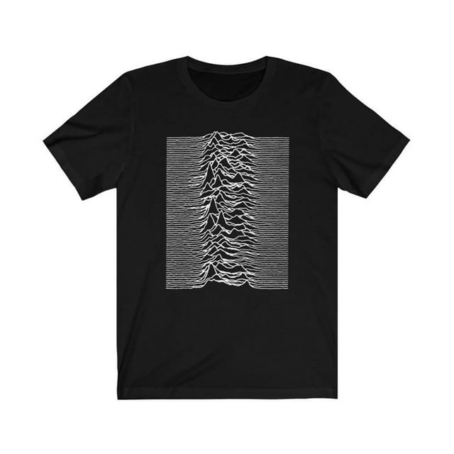 Joy Division Adult Unknown Pleasures Back Print T-Shirt
